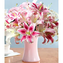 Deluxe Summer Festival