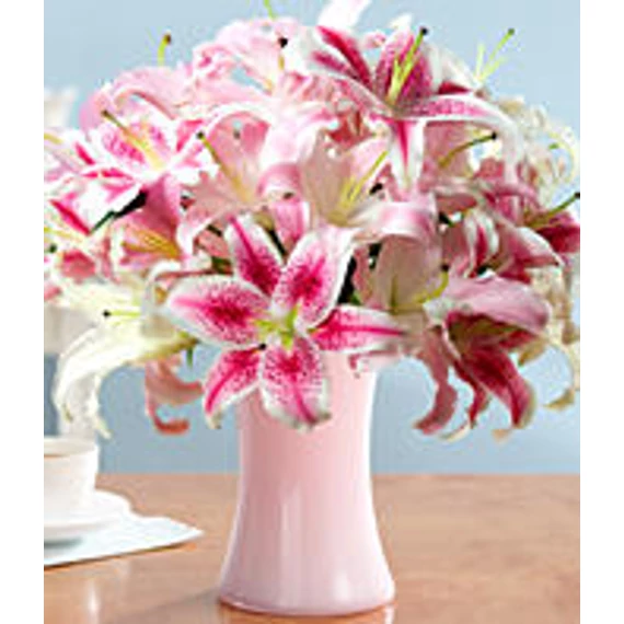 Deluxe Summer Festival